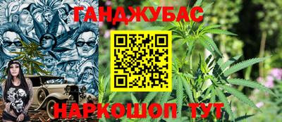 молекула духа Пенза