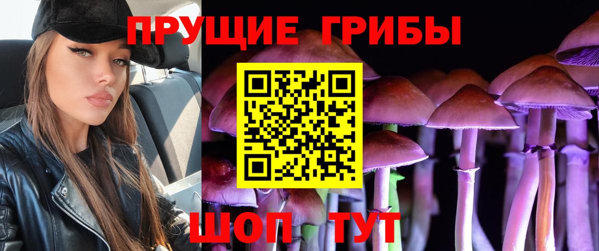 Галлюциногенные грибы Cubensis Торжок